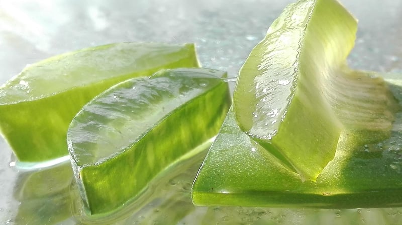 Aloe Vera Hidratante